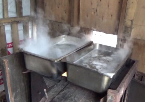 Boiling raw maple sap into maple syrup