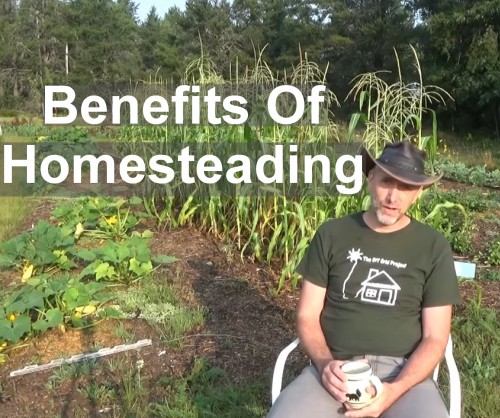 The benefits of homesteading