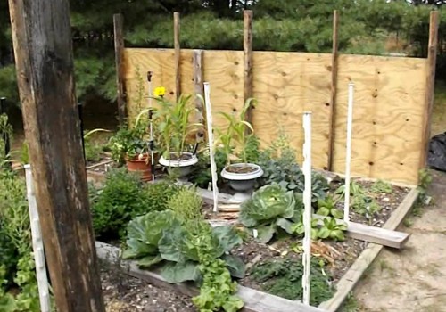 Building our herb garden greenhouse