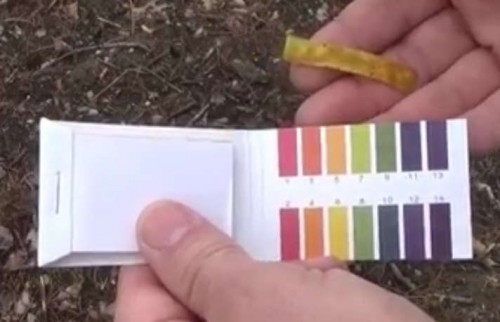 Checking Soil PH Level Based On Test Strip Color Chart