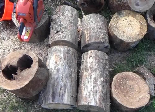 Chainsaw Cutting Form To Shorten Fire Wood