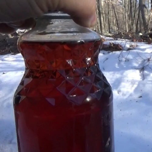 Dark amber homemade maple syrup