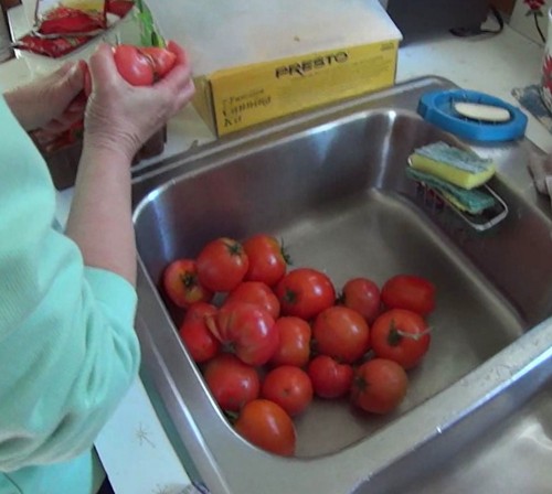Wash and prepare tomatoes