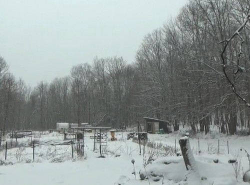 Snowy Off Grid Homestead