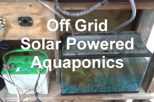 Off Grid Aquaponics System