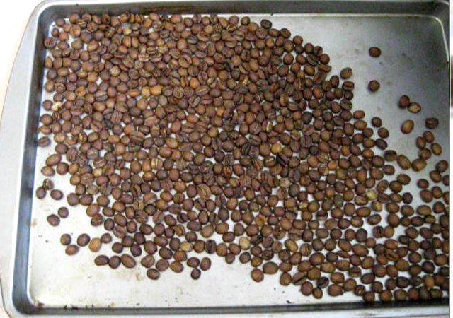 Fresh home roasted coffee beans