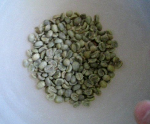 Fresh green coffee beans