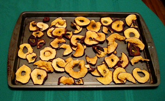 Pasteurize Your Food Before Vacuum Sealing Pasteurize Your Food Before Vacuum Sealing